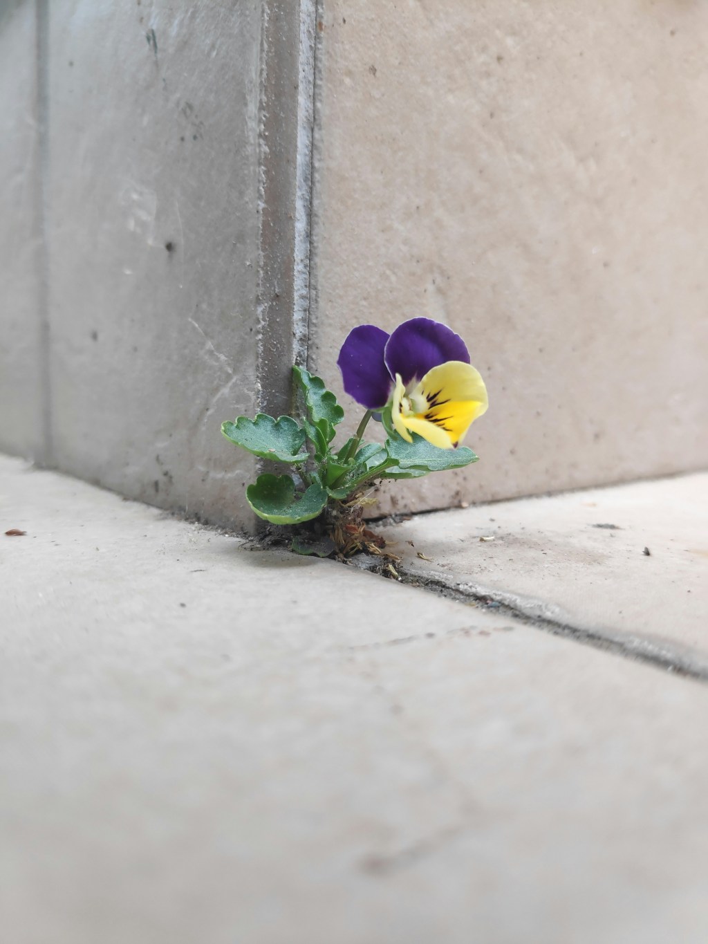 From doom scrolling to dreaming: How to rewrite sustainability in marketing